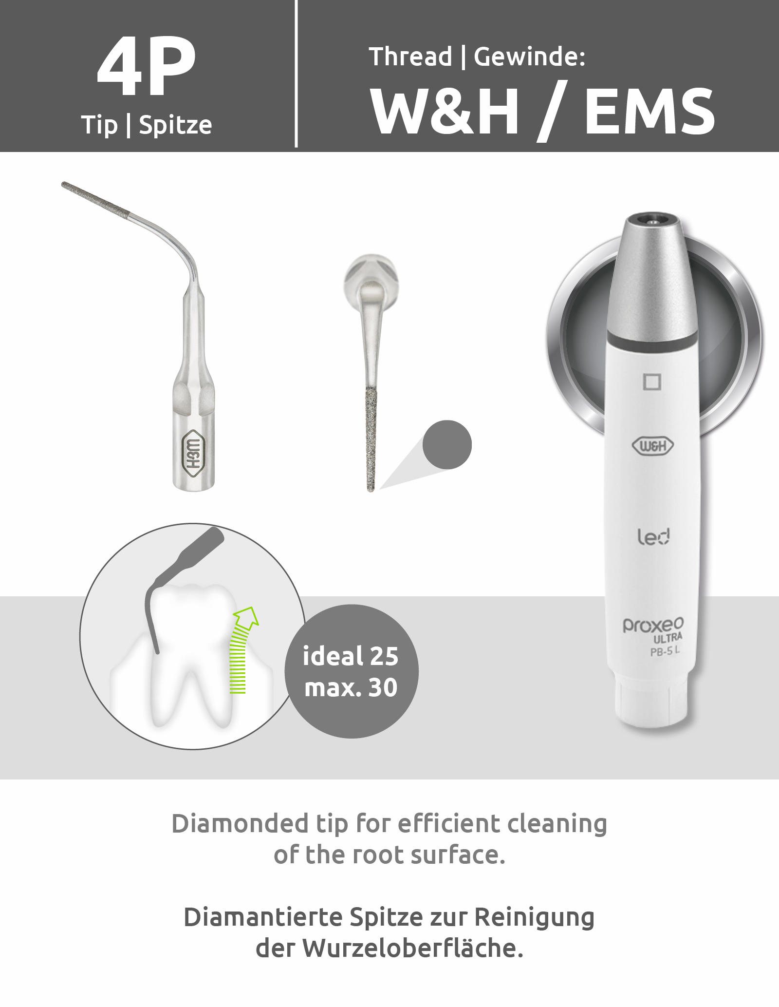 Spitze 4P (W&H/EMS Gewinde) mit Wechsler