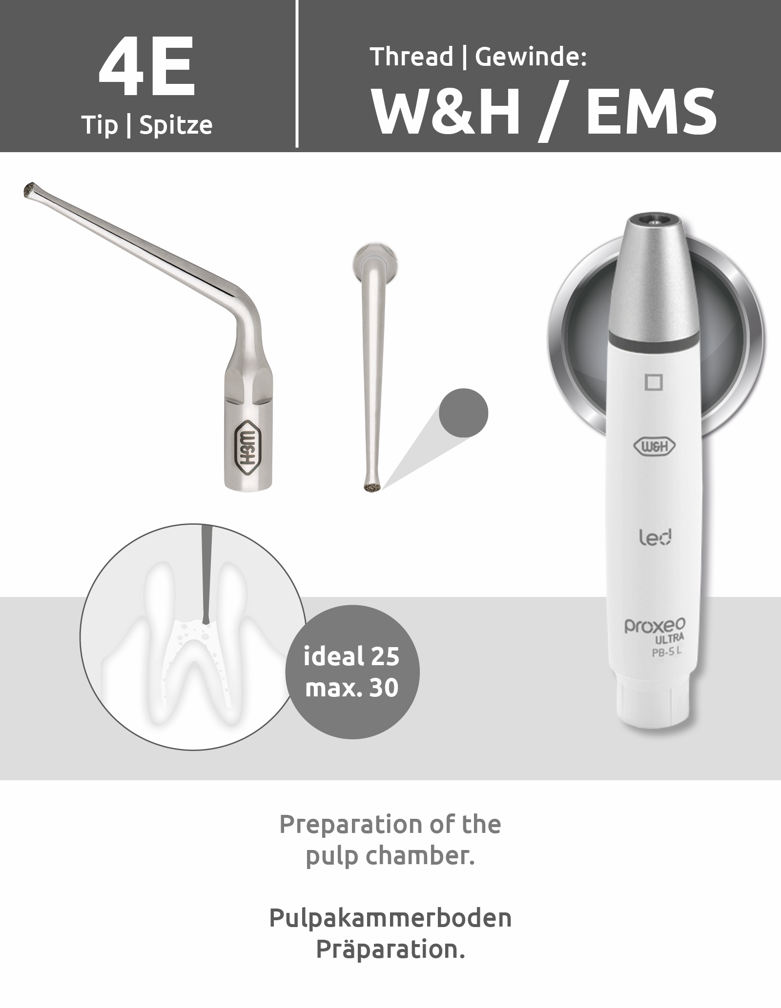 Spitze 4E (W&H/EMS Gewinde) mit Wechsler
