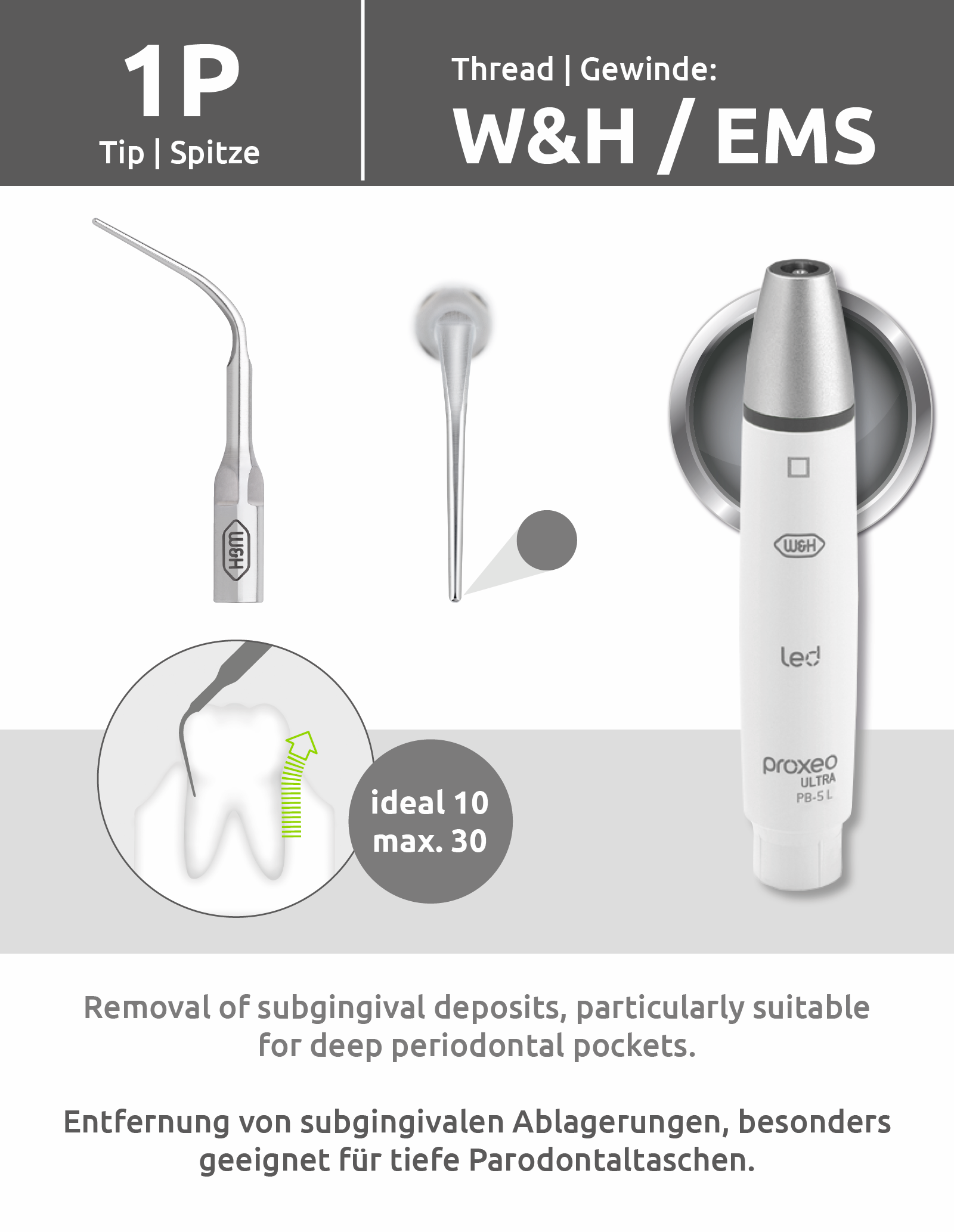 Spitze 1P (W&H/EMS Gewinde) mit Spitzenwechsler